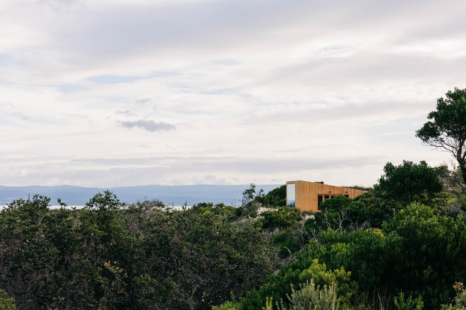 context Dolphin Sand Studio / Beach Front Tiny Home / Matt Williams Architects