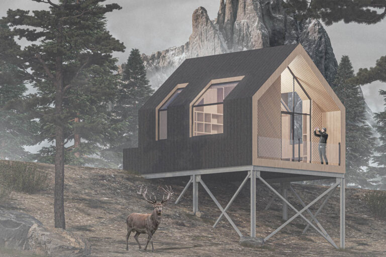 Hunters Cabin Concept / Georgia / Sandro Nozadze