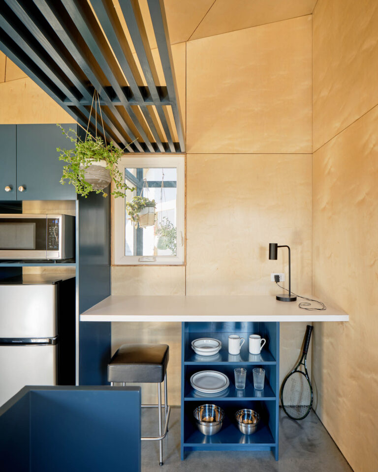 037 Tiny Victories Austin Jobe Corral Architects 05 768x960