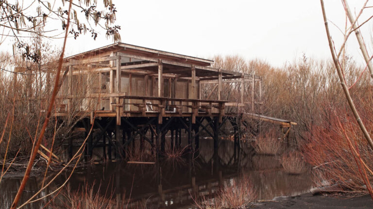 Río Plata Refuge / Pucón Cl / elton léniz arquitectos