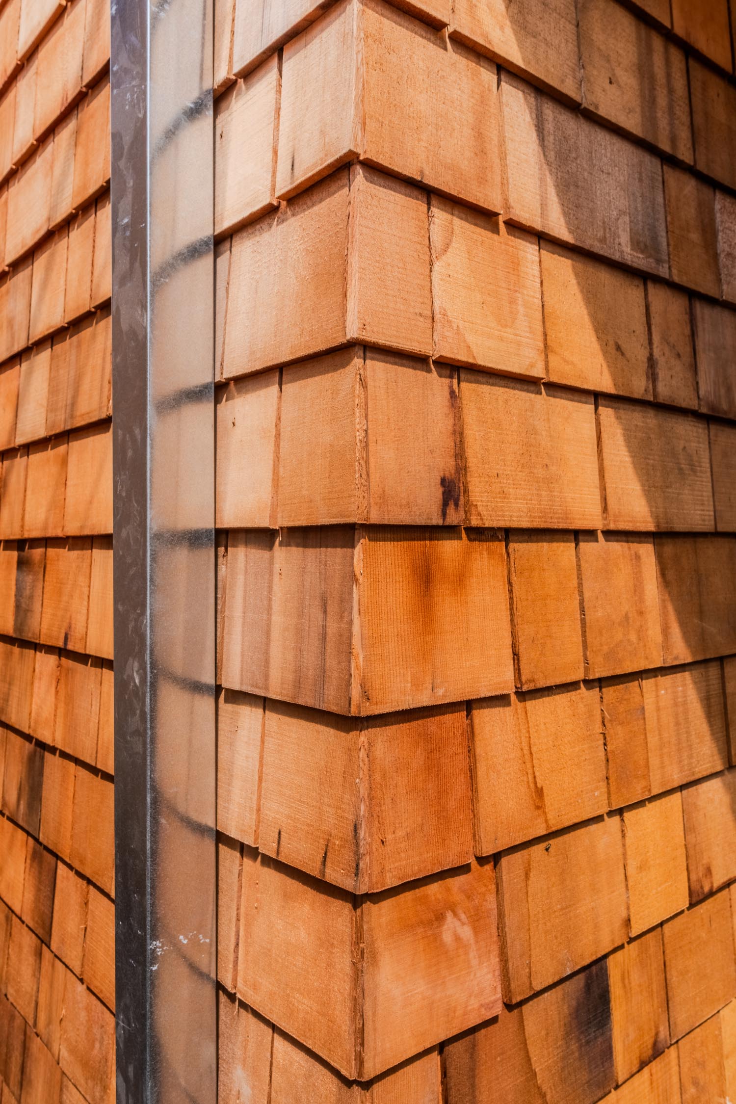 shingles Ruston-Passive-Garden-Suite-Toronto-ZZ-Contracting